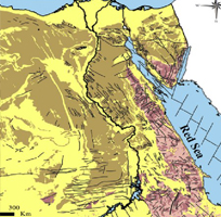 دراسات قومية